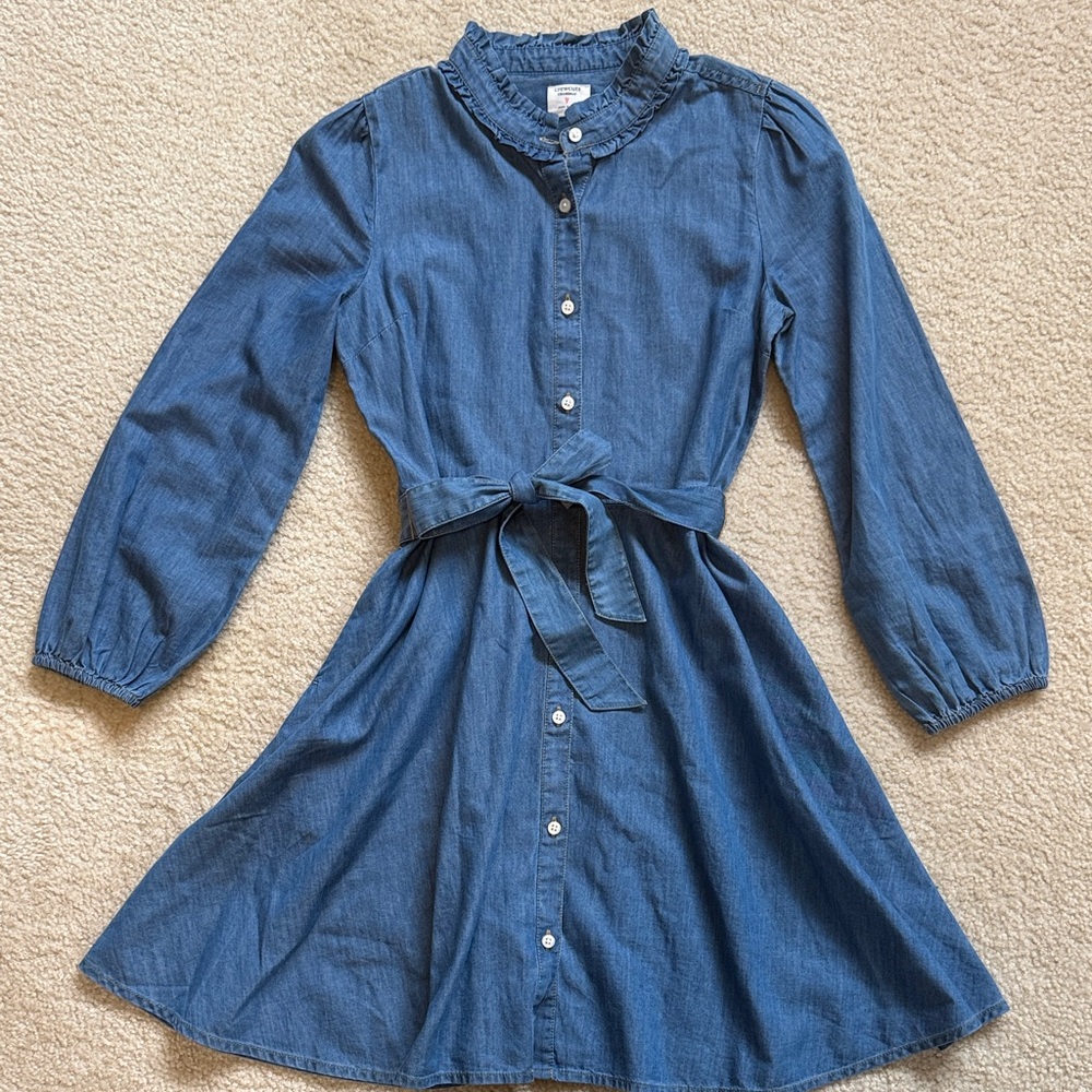 J. Crew Kids Blue Button-Up Dress